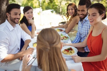 Group of friends having lunch