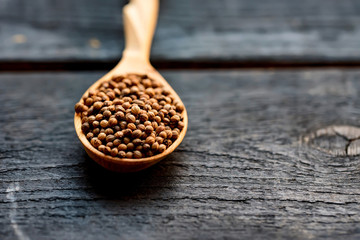 Coriander seeds in wooden spoon on wooden table