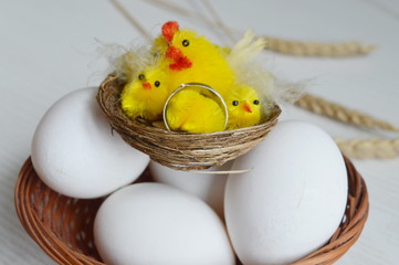 eggs