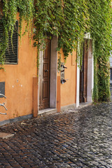 Street and building cover with vegetation in Rome, Italy