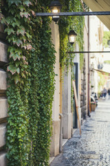 Street and building cover with vegetation in Rome, Italy
