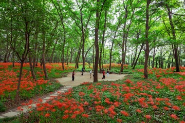 the morning exercise among the flowers