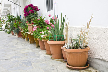 exterior decoration of flowers and pots in greek style