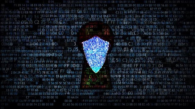 Protection of the network from Internet scammers