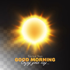 Beautiful sun with sunrays and shine on transparent background. Vector illustration