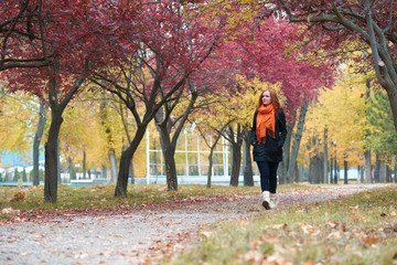 Fototapeta premium young woman walk on footpath in autumn park, yellow leaves and trees