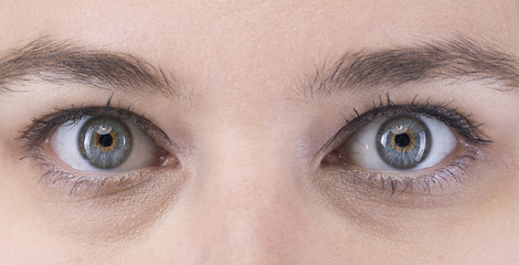 Obraz premium Beautiful eyes, close up