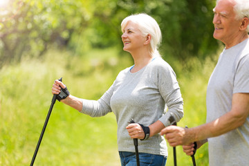 Senior couple nordic walking in park

