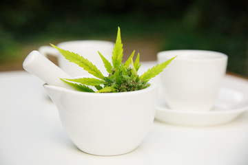 Cannabis leaves or marijuana leaves in a mortar tea cup
