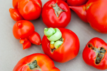 Tomatoes with disease