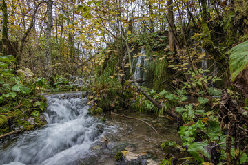Fototapeta na wymiar Water Stream in Plitvice Croatia