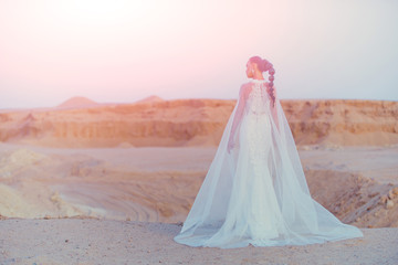 Fototapeta na wymiar Woman in wedding dress and veil
