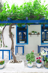 exterior decoration of flowers and pots in greek style