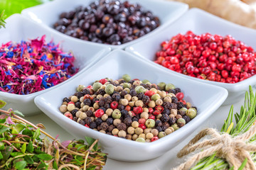 Frische gewürze und kräuter 