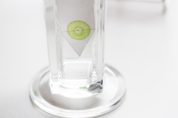 Study of Chromatography is used to separate components of a plant.