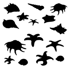 Black shape of molluscs, shells and starfish. Marine underwater inhabitants. Big vector set on white background. Illustration isolated