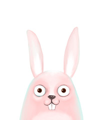 bunny