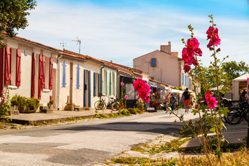 roses trémières et maisons de l'île d'Aix