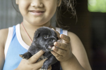 Black puppies in girl hands