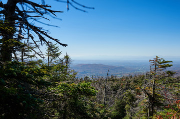 Beautiful foliage view and trees on mountain in Vermont blue sky