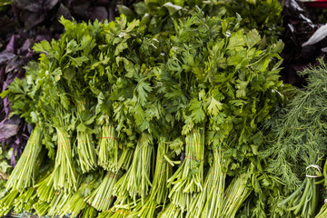 parsley and dill on the counter