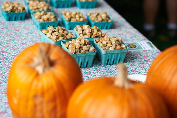 Gooseberries and pumpkins
