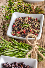 Frische Gewürze für feine Küche 