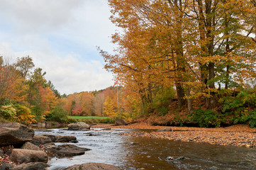 River and tree in autumn in Vermont USA