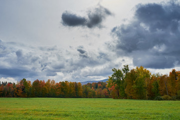 Fototapeta premium Green field under a dramatic sky in autumn