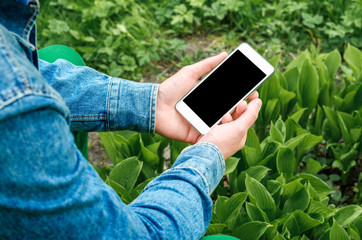  Mobile phone in hands a young hipster business man in denim shirt and green jeans on the background of green grass with paving stone