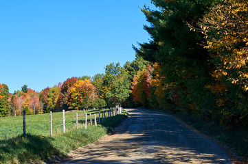 Country road autumn foliage