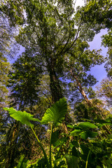 Mitten im Regenwald von Costa Rica