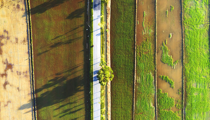 Road and farmland created beautiful symmetry lines as view from above.
