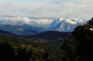 Cévennes enneigées