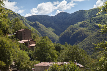 Fototapeta na wymiar Italia, Toscana, Lucca, Garfagnana, il bosco e montagne.