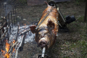 Italia, Toscana, Lucca,Garfagnana, il paese di Vergemoli. Festa paesana, cottura della porchetta.