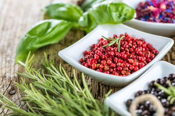 Frische Gewürze für feine Küche 