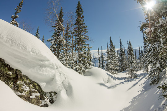 Fototapeta Mysterious winter landscape mountains in winter trees covered snow