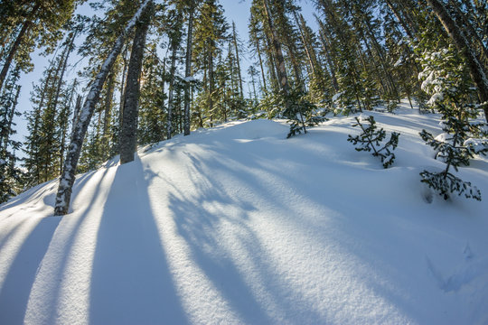Fototapeta Mysterious winter landscape mountains in winter trees covered snow
