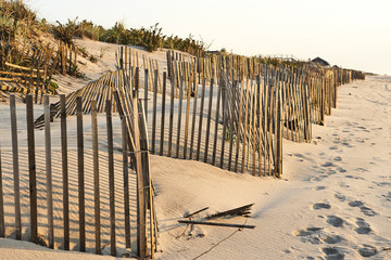 Sand dune 001