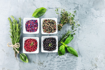 Frische Gewürze für feine Küche 