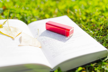 The book and lipstick on the grass