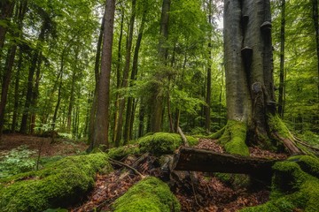 Picturesque Bavarian Autumn Hill Countryside Landscape in September Germany at Sunset