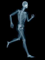 medically accurate 3d rendering of a jogger