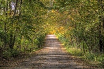 Autumn County Road