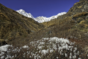 Annapurna Sanctuary Himalayas Nepal