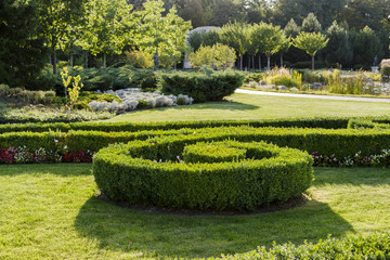 geometric flowerbed  with landscape design