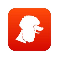 Poodle dog icon digital red