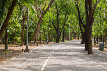 walkway in the park