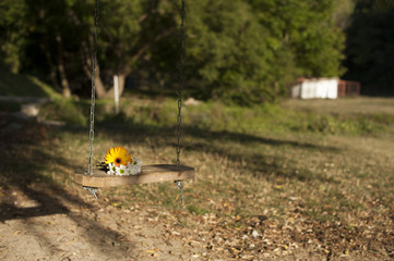 Flowers on the chain swing